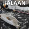 Viitanen, Eräretki kalaan
