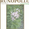 Väätäinen, Runopöllö - Lastenriimejä