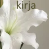 Väyrynen, Amirin kirja