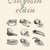 Webb, Erityisin eläin - Myytti ihmisyyden ylivertaisuudesta