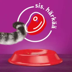 Whiskas 1+ Härkää 800g