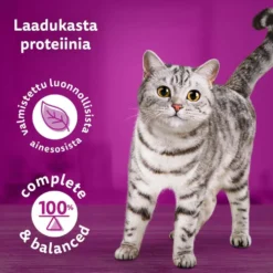 Whiskas 1+ Pure Delight valitut suikaleet hyytelössä (12 x 85 g)