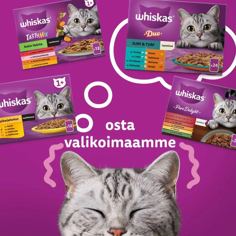 Whiskas 1+ Suosikit Lajitelma hyytelössä (12 x 85 g)