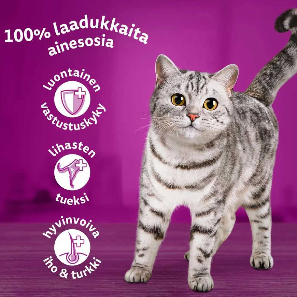 Whiskas 1+ Suosikit Lajitelma hyytelössä (12 x 85 g)