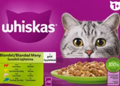 Whiskas 1+ Suosikit Lajitelma hyytelössä (12 x 85 g)