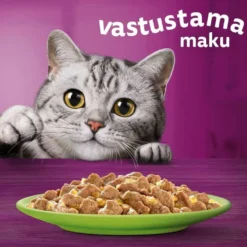 Whiskas 1+ Suosikit Lajitelma hyytelössä (12 x 85 g)