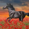 Wild Ride kirjoitusalusta 60x40cm displayssa