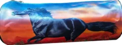 Wild Ride pyöreä penaali, 2 eril.lajit.