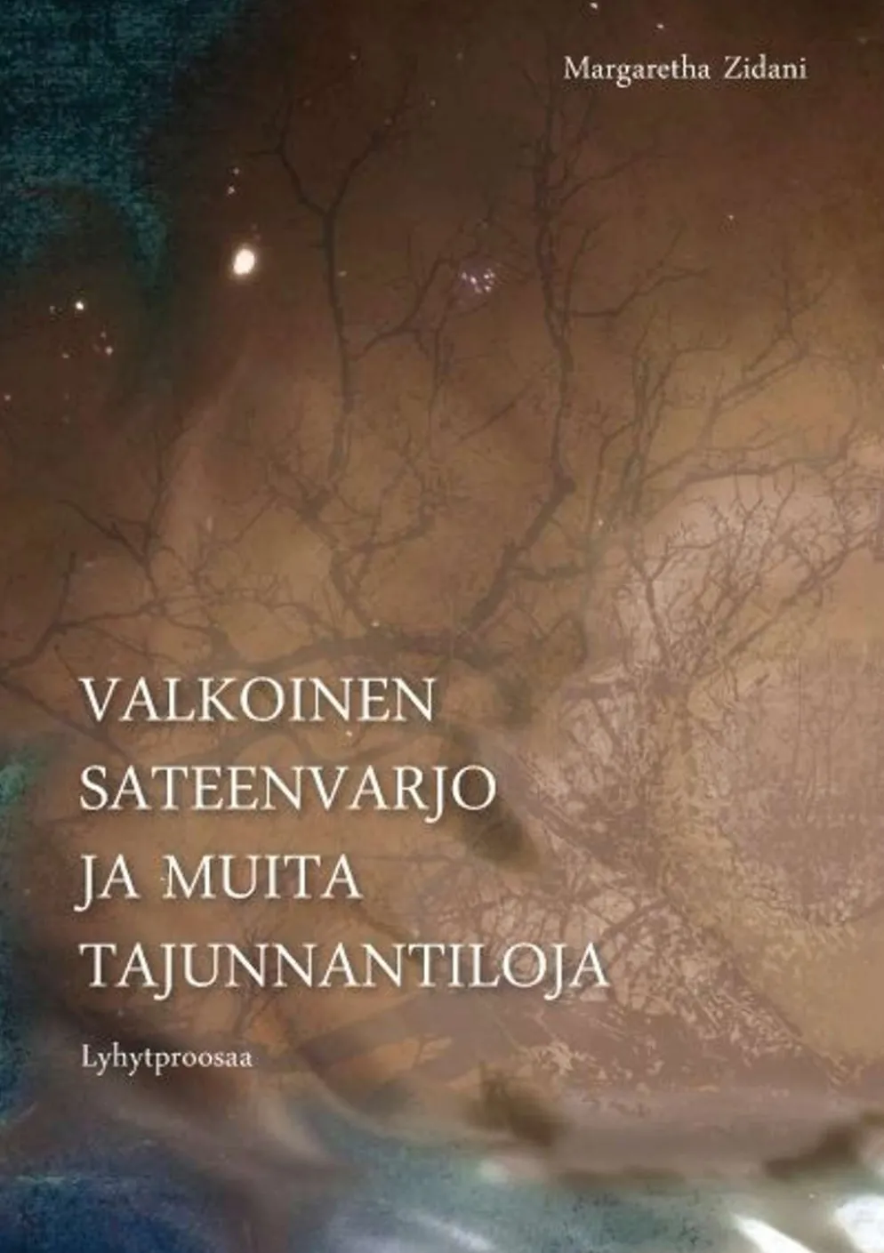 Zidani, Valkoinen sateenvarjo ja muita tajunnantiloja
