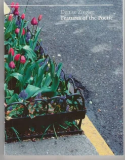 Ziegler, Features of the Poetic - The Mimetic Method of the Visual Artist